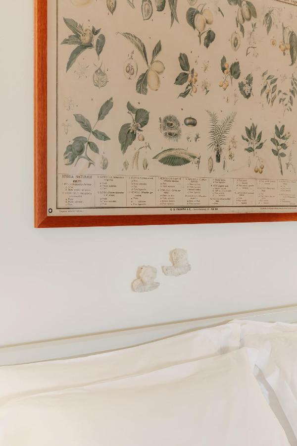 Villa Residenza S. Agostino Matera Esterno foto